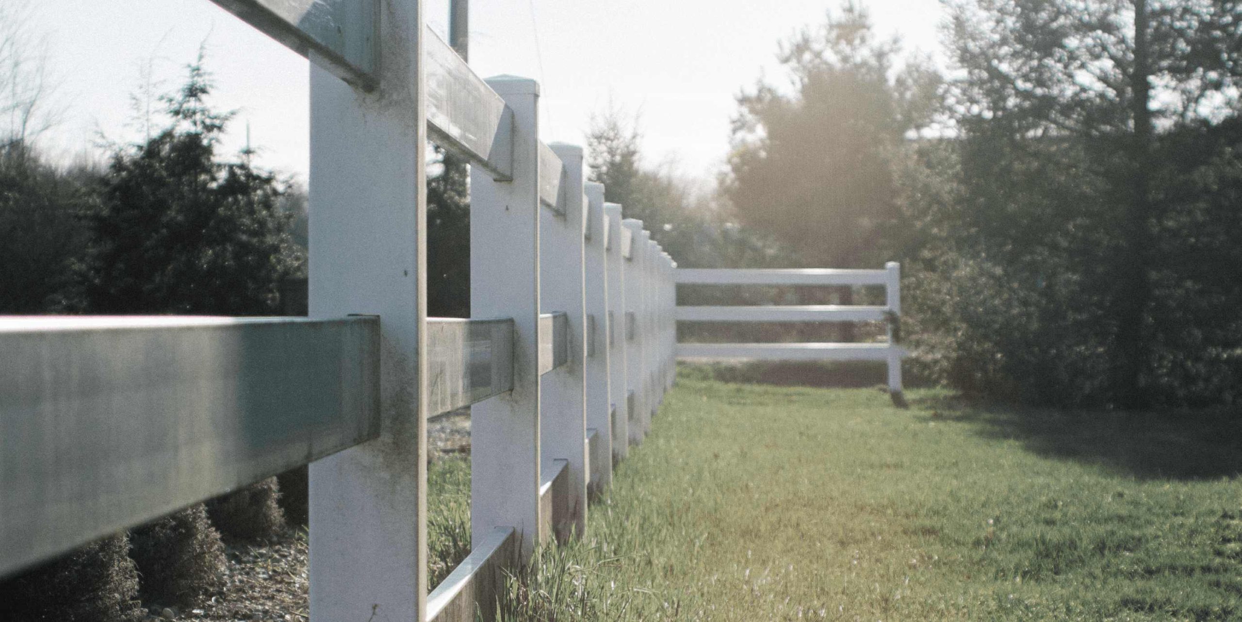 How Much Does a Privacy Fence Cost? R&M Fence