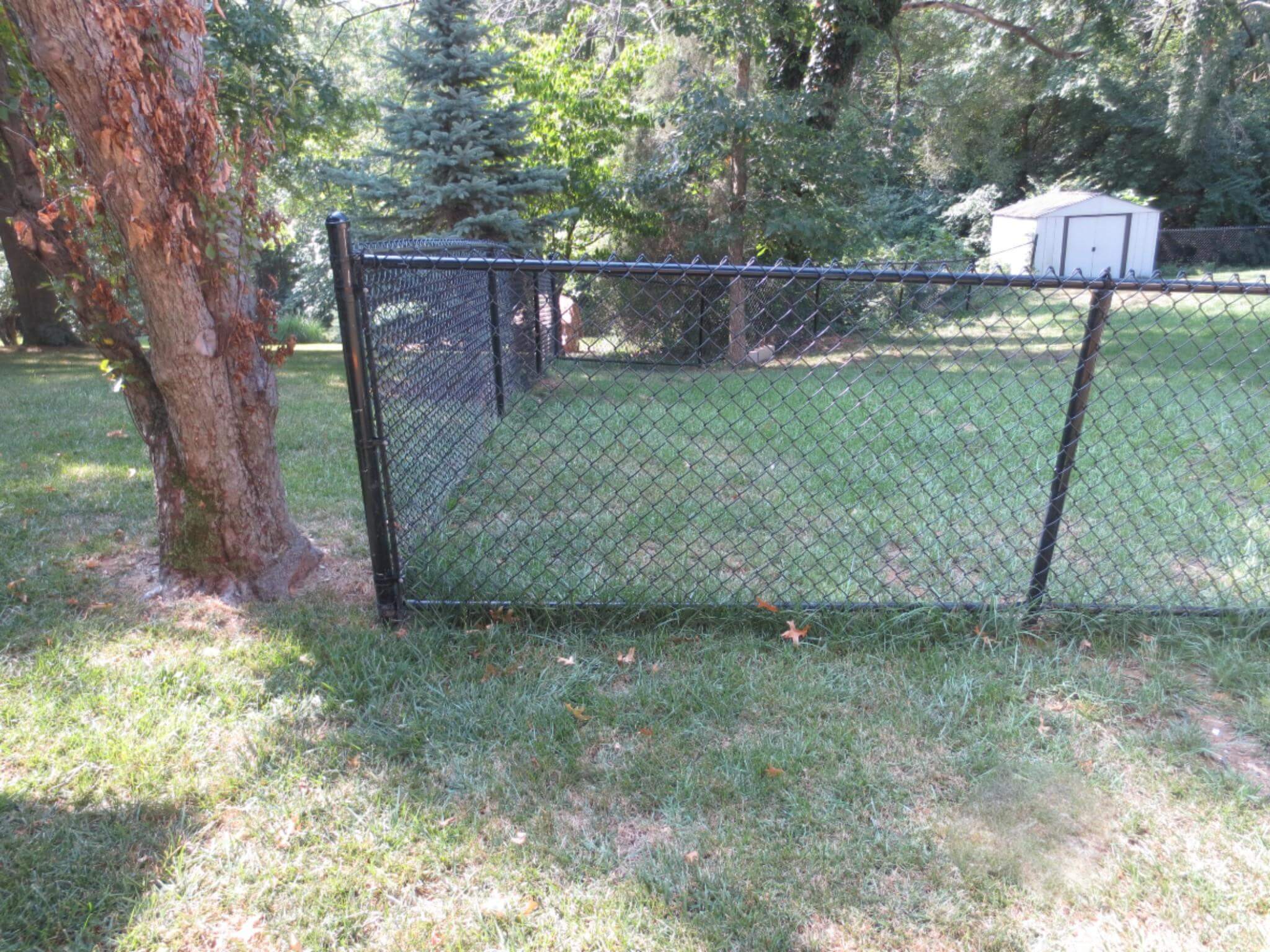 Black chain link fence enclosing a grassy backyard near mature trees.